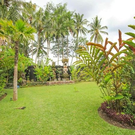 Luxury 3Br Infinity Jungle View Aashaya Villa Ubud Eksteriør billede