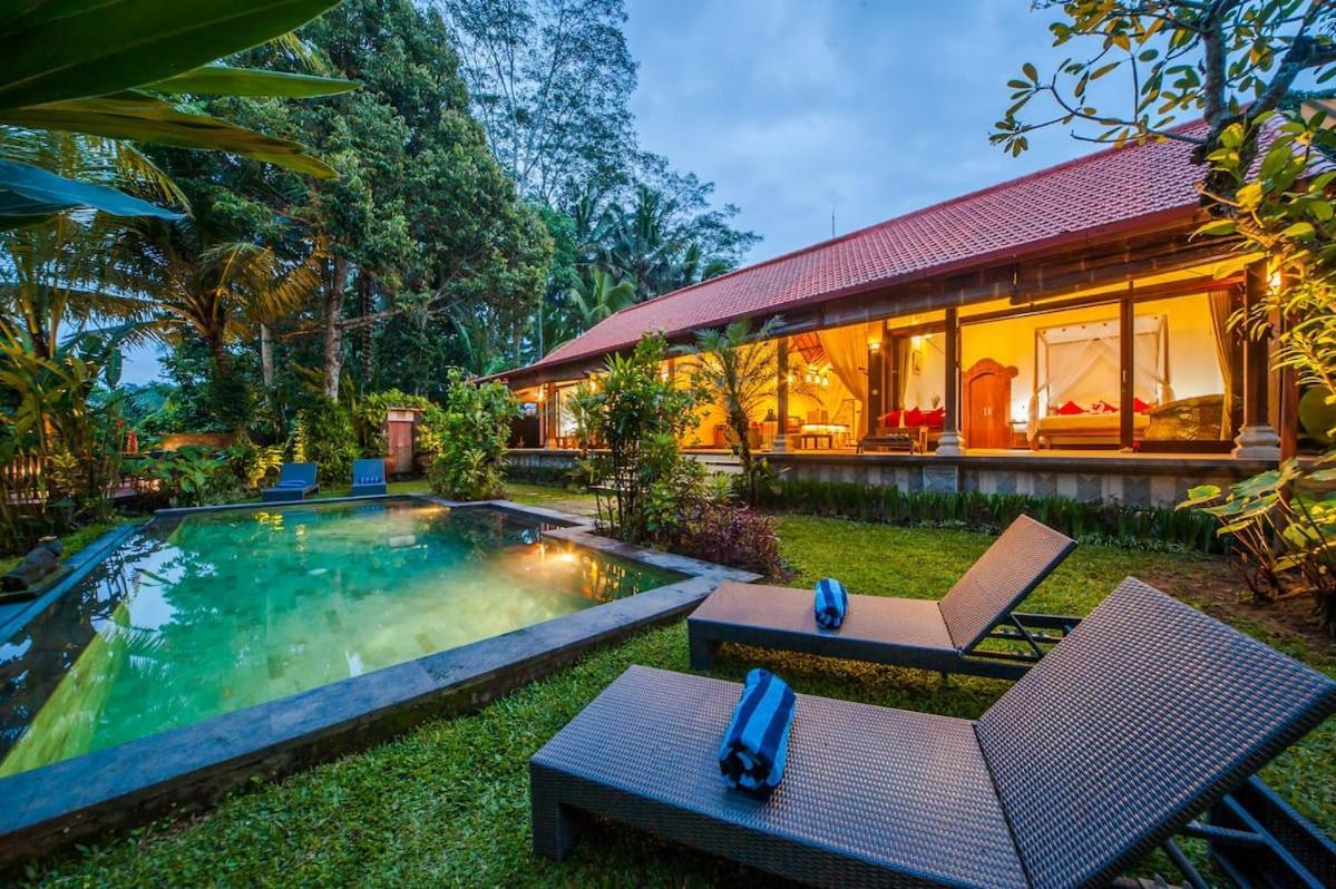 Luxury 3Br Infinity Jungle View Aashaya Villa Ubud Eksteriør billede