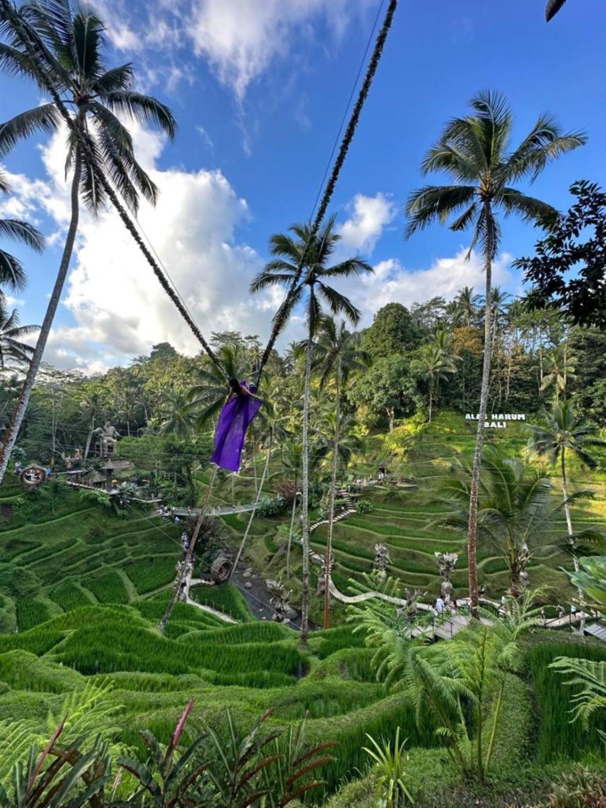 Luxury 3Br Infinity Jungle View Aashaya Villa Ubud Eksteriør billede