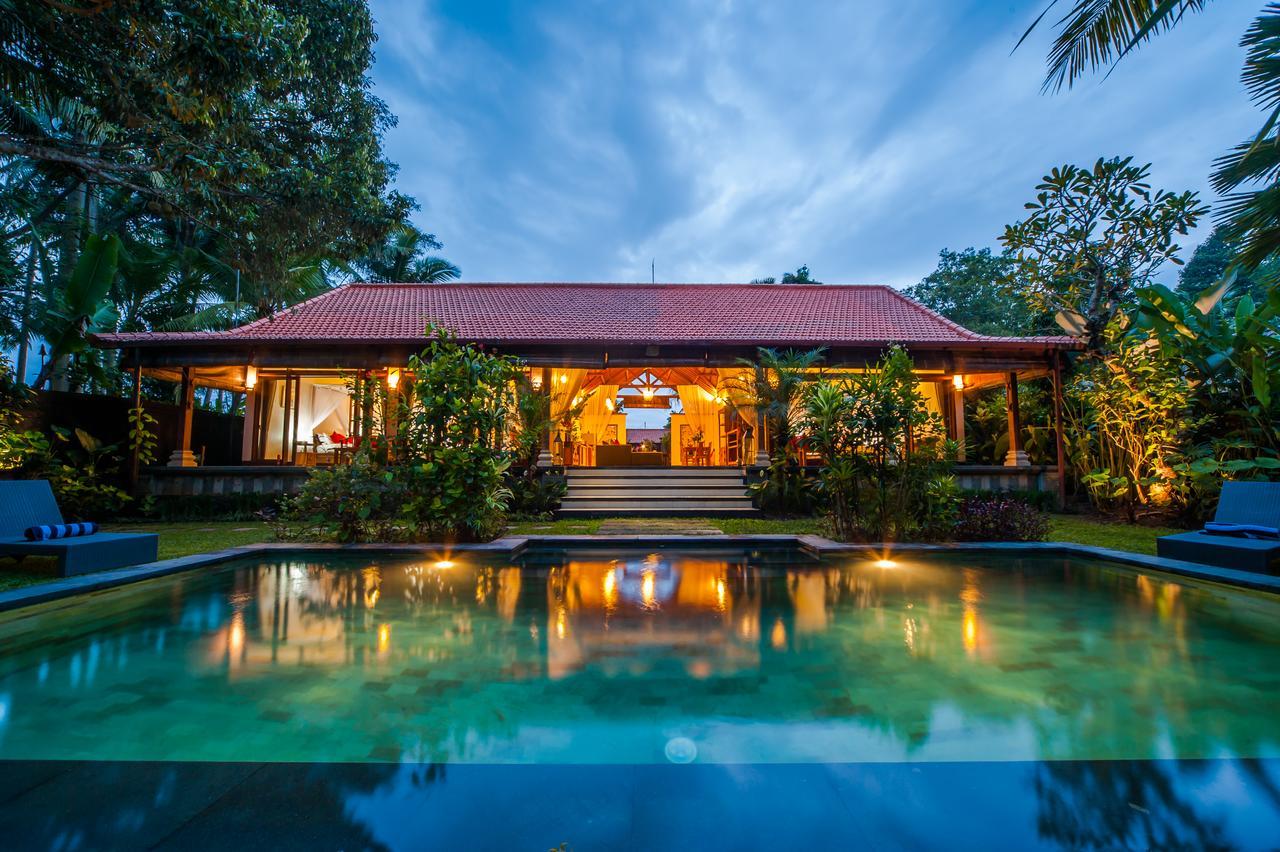 Luxury 3Br Infinity Jungle View Aashaya Villa Ubud Eksteriør billede