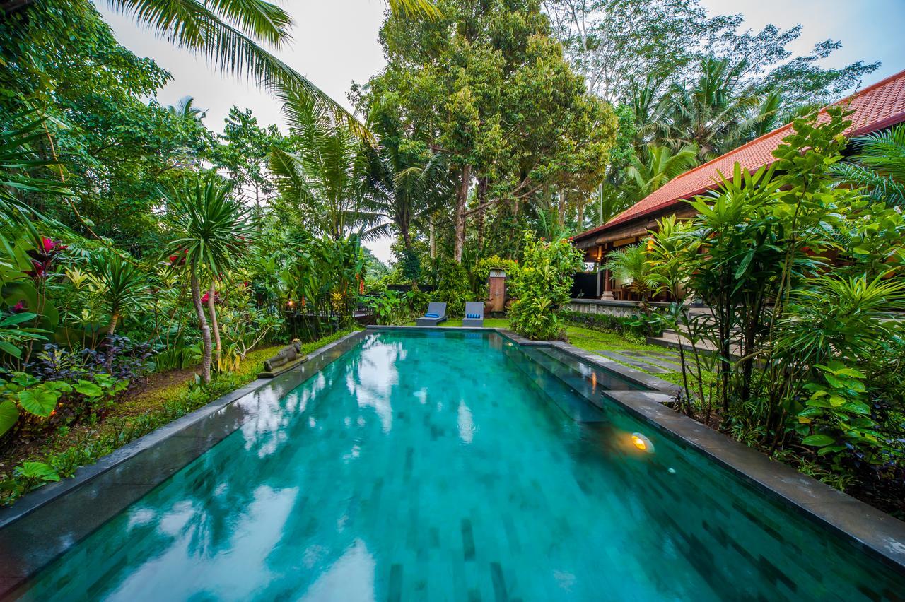 Luxury 3Br Infinity Jungle View Aashaya Villa Ubud Eksteriør billede
