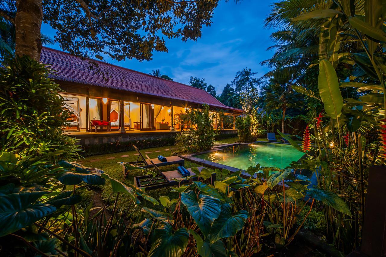 Luxury 3Br Infinity Jungle View Aashaya Villa Ubud Eksteriør billede